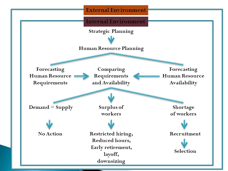 Five Components of an Organization's External Environment